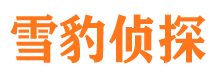 南陵找人公司